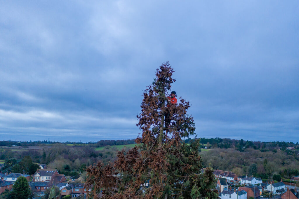 Tree Surgery Drone Photograph-01 by www.FullCapture.co.uk