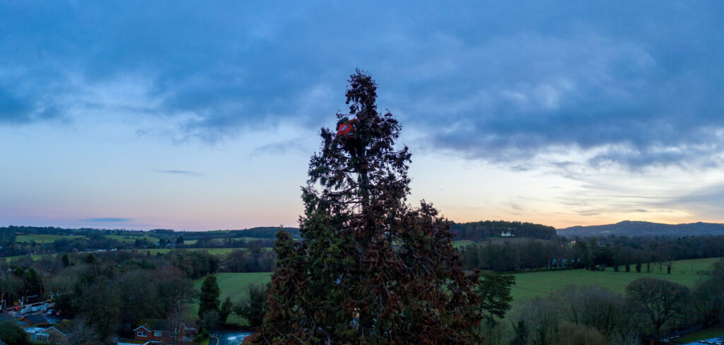 Tree Surgery Drone Photograph-02 by www.FullCapture.co.uk