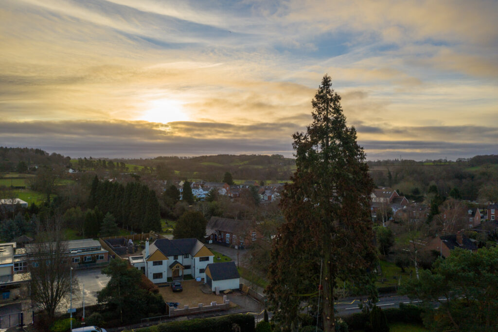 Tree Surgery Drone Photograph-05 by www.FullCapture.co.uk