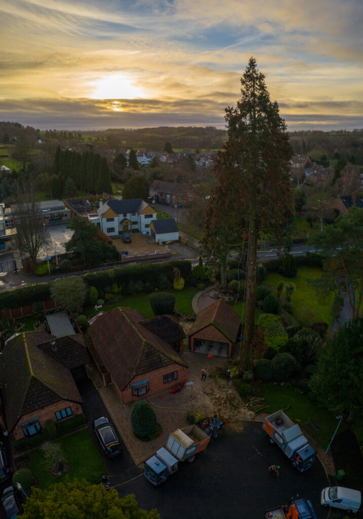Tree Surgery Drone Photograph-06 by www.FullCapture.co.uk