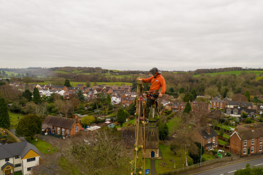 Tree Surgery Drone Photograph-08 by www.FullCapture.co.uk