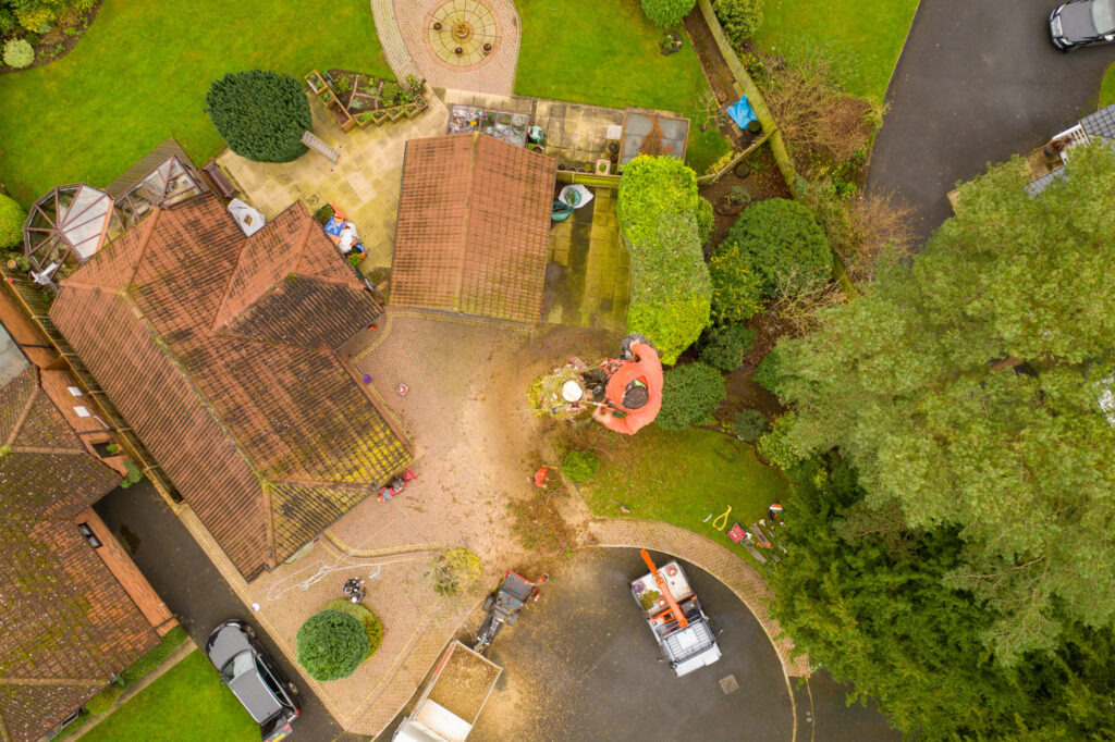 Tree Surgery Drone Photograph-09 by www.FullCapture.co.uk