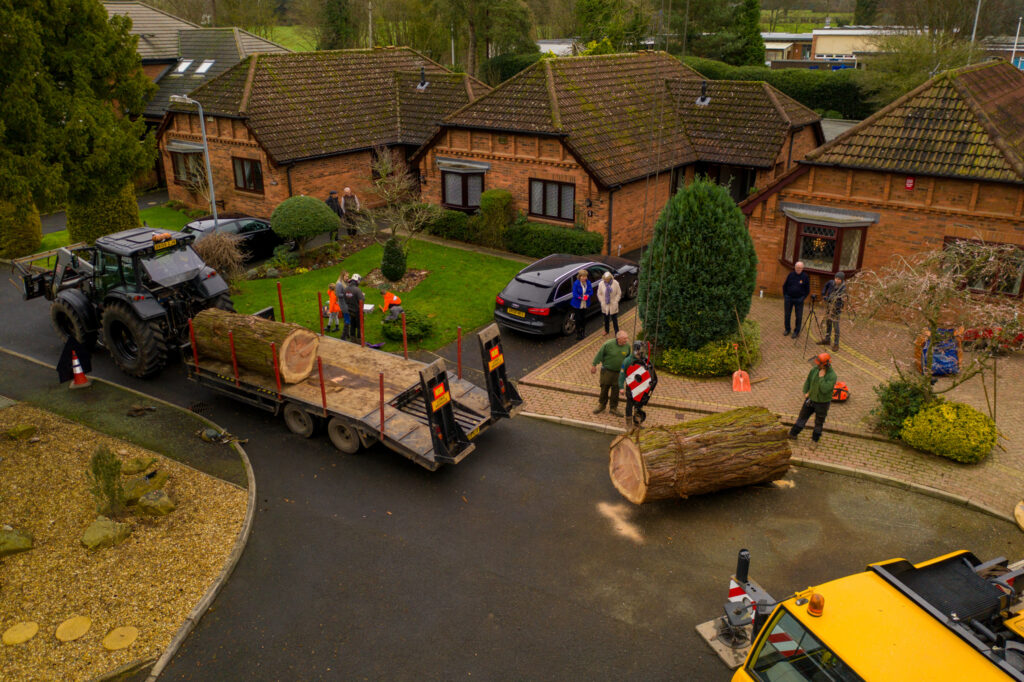 Tree Surgery Drone Photograph-11 by www.FullCapture.co.uk
