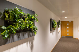 Radcliff House - by www.FullCapture.co.uk Wide LR-27